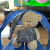 عروسک|اسباببازی بچه|رشت, کوی طالقانی|دیوار