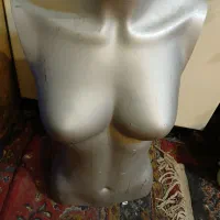 ۵ عدد مانکن  نیم تنه با نازلترین قیمت