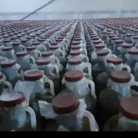 خیارشور ویژه فیت دار