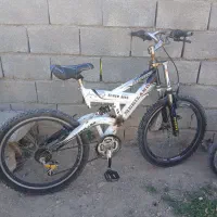 دوچرخه تنه بلند