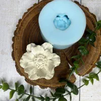 قالب سیلیکونی و بیس خام