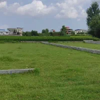 زمین-180-متری-سند-تک-برگ
