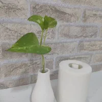 قالب سیلیکونی یزد