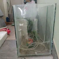 آکواریوم شیشه ای وپمپ ۵۰۰تومان