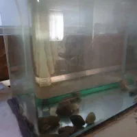 آکواریوم شیشه خم