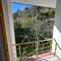 اجاره شبانه ویلا باغ جنگلی|اجارهٔ کوتاه‌مدت ویلا و باغ|چالوس, |دیوار