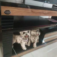 میز تلوزیون|میز تلویزیون|کومله, |دیوار