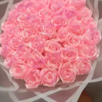 گل رز ربانی