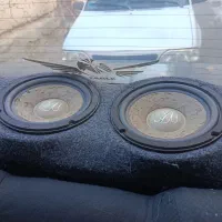 میدساپ ماچت خزدار