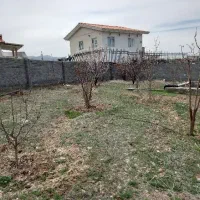 زمین دماوند وادان ، درخت ۷ساله ، انشعابات