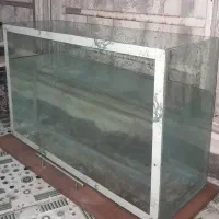 آکواریوم|ماهی|خرمشهر, |دیوار