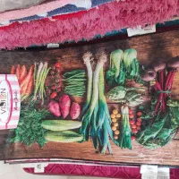 پادری فانتزی