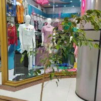 اجاره-مغازه-در-مجتمع-تجاری-پردیس-تربیت