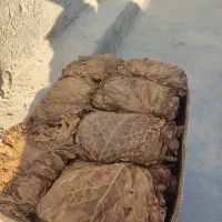 برگ زرد|عمدهفروشی|کاکی, |دیوار