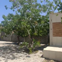 فروش باغ ویلا|فروش خانه و ویلا|بیرجند, |دیوار