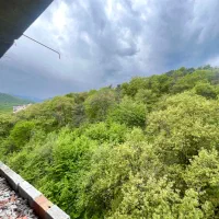 ۳۸۰ متری سوپر لوکس/ویو ابدی جنگل