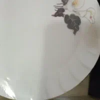 ظروف،چینی اصل زرین،وکیوم نونو|ظروف سرو و پذیرایی|تهران, وحیدیه|دیوار