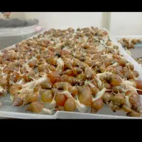 حلزون|خزنده|اراک, |دیوار