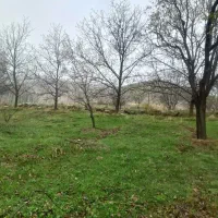 فروش باغچه
