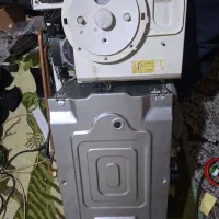 پگیج  کالداونزیا ودایسونگ