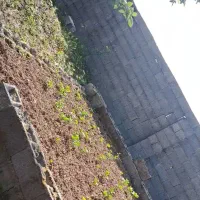 زمین مسکونی  به متراژ۱۰۰متر .