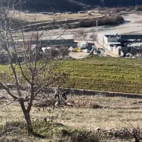 فروش معاوضه باملک یاخودرو زیرپلیس راه یاسوج اصفهان|فروش زمین و ملک کلنگی|یاسوج, |دیوار