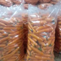 فروش هویچ و ترب با کیفیت ،تنی|خوردنی و آشامیدنی|ممقان, |دیوار