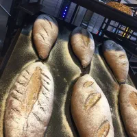 وردست بیکری