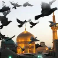 تور زیارتی مشهد مقدس وکربلا