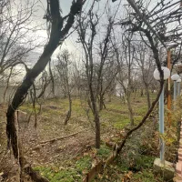 ۱۱۰۰ متر ۷۰ متر بنا با مجوز دو کله کردان کوهسار|فروش خانه و ویلا|کوهسار (البرز), |دیوار