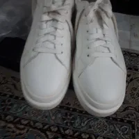 کفش ونس برند پول اند بیر اصل‌‌استفاده‌نشده‌سایز۴۴