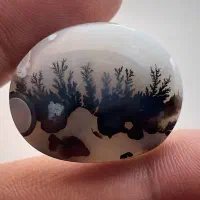 انگشتر قلمزنی شجر|جواهرات|اسلامآباد غرب, |دیوار