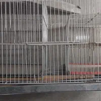 قفس دو جداره ۴۰×۶۰