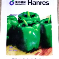 بذر فلفل دلمه هانرس