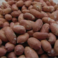 بادام درجه یک آستانه اشرفیه|خوردنی و آشامیدنی|قشم, |دیوار