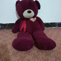 عروسک درحدنو