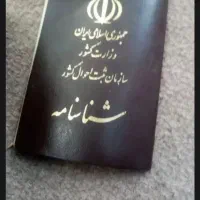 شناسنامه گم شده