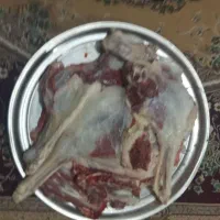 گوشت میش خورشتی کیلو ۷۵۰زیرقیمت