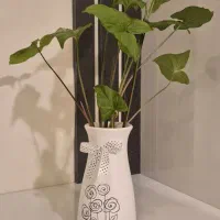 گلدان دکوری سرامیک حاوی قلمه ئ گیاه سینگینیوم|گل و گیاه طبیعی|تهران, نارمک|دیوار