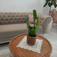 مبل|مبلمان خانگی و میز عسلی|رشت, جهاد|دیوار