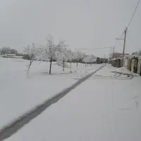 زمین-مسکونی-بلوار-سرایانی-هجرت6