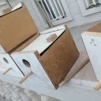 لانه طوطی برزیلی، گرینچینگ، لونه کوتوله، فنچ و|لوازم جانبی حیوانات|کوار, |دیوار