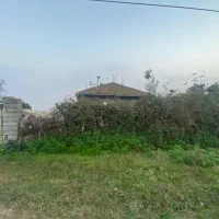 ۵۷۰۰متر خانه محوطه و شالی بر اسفالت