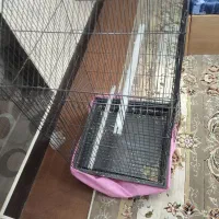 قفس|لوازم جانبی حیوانات|قم, خاکفرج|دیوار