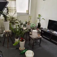 دربستی/ خ جانبازان/ خ صفایی/