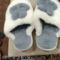 دمپایی روفرشی