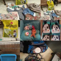 تمام وسایل سگ موجود