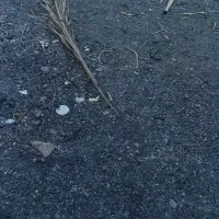 فروش زمین ۱۸۰متری درنوکابادسرهنگ خ. مسجدجامع قبا