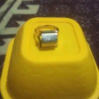 گوشواره پیدا. شده