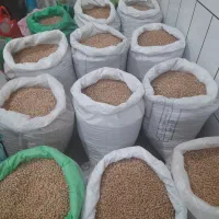 فروش نخودمحلی